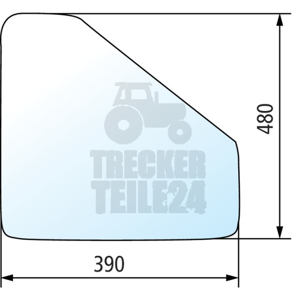 Türscheibe