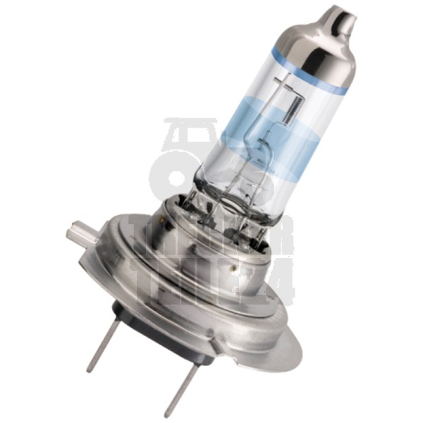 Halogenlampe H4