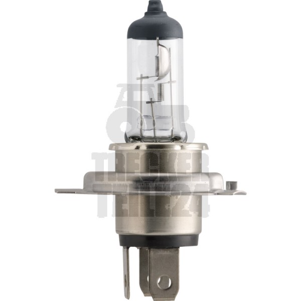 Halogenlampe H4