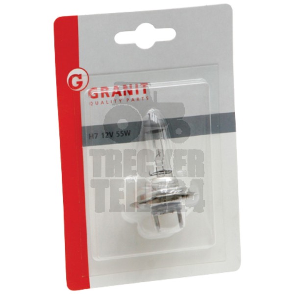 Blister Glühlampe