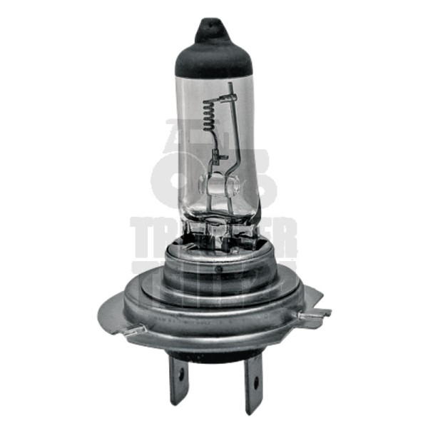Halogenlampe H7