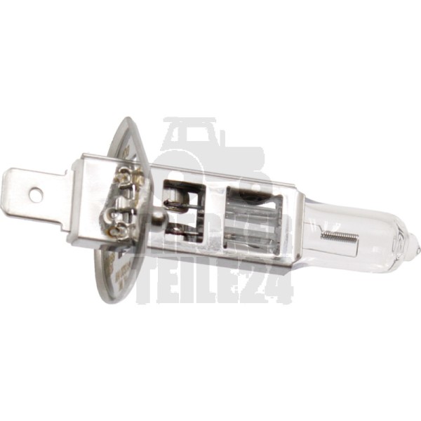 Halogenlampe H1
