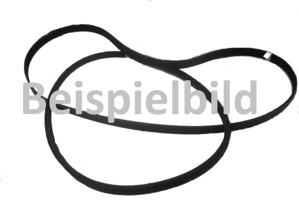 Keilriemen für Massey Ferguson 230, 231, 240, 250, 275, 290