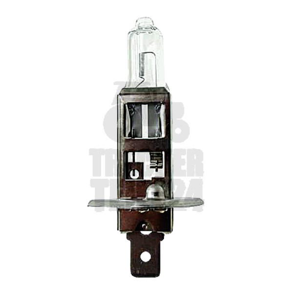 Halogenlampe H1